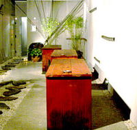 Koi - Pubs Perth