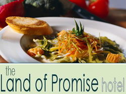 Land Of Promise Hotel - Pubs Perth 0