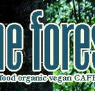 Forest Cafe  Bar - Pubs Perth