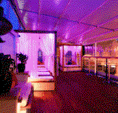 Circus Bar  Night Club - Pubs Perth