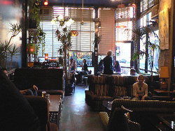 Blackcat - Pubs Perth 1