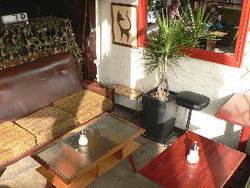 Blackcat - Pubs Perth 2