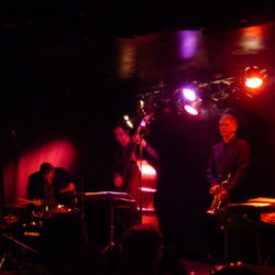 The Brass Monkey - Pubs Perth 2