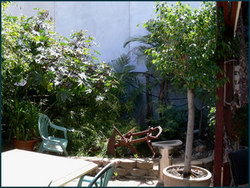 Land Of Promise Hotel - Pubs Perth 3