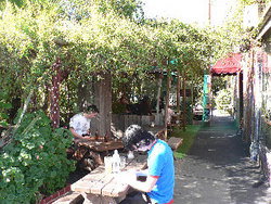 Blackcat - Pubs Perth 3