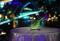 Summit - Orbit Lounge Bar - Pubs Perth 3