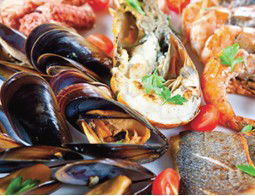 Pelagos Greek Tavern - Pubs Perth 2