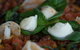 Vinny's Woodfire Pizza - thumb 0