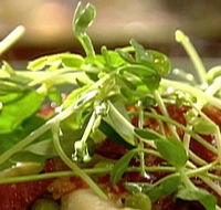 Wild Hearts Cafe Restaurant - Pubs Perth