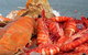 Morgans Seafood Restaurant - thumb 5