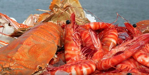 Morgans Seafood Restaurant - Pubs Perth 5