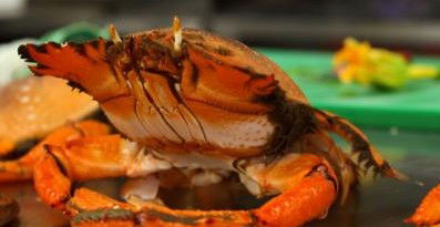 River Cottage Restaurant - Pubs Perth 0