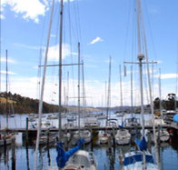 Oyster Cove Inn - Pubs Perth