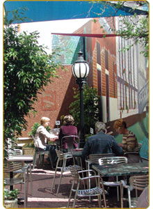 Paddington Alehouse - Pubs Perth 1