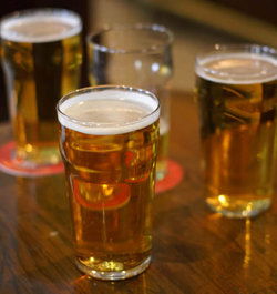 Golden Vine Hotel - Pubs Perth 1