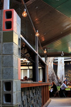 The Garden  - Pubs Perth 2