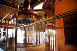 Elmars In The Valley - Pubs Perth 3