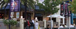 Tiger Lils - Pubs Perth 3