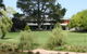 Bendemeer Hotel - thumb 1