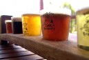 Moody Cow Brewery - Pubs Perth 1