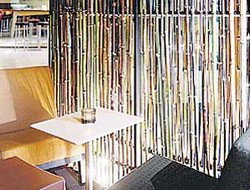 Llama Bar - Pubs Perth 2