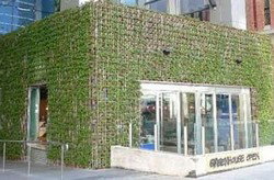 Greenhouse - Pubs Perth 2