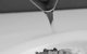 Chapter One Brasserie - thumb 2