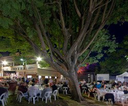 Premier Hotel - Pubs Perth 2