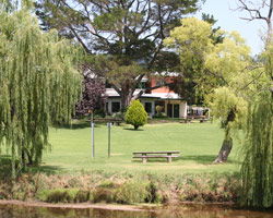Bendemeer Hotel - Pubs Perth 3