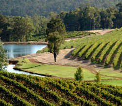 Brookhampton Estate Vineyard - Pubs Perth 0