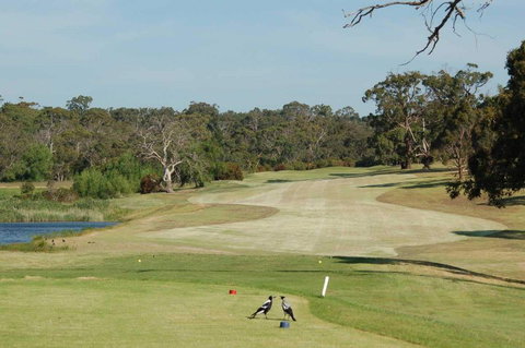 Devilbend Golf Club - Pubs Perth 1