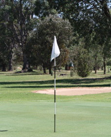 Inverell Golf Club - Pubs Perth 1