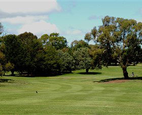 Cooma Golf Club - Pubs Perth 1