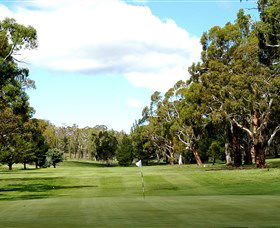 Cooma Golf Club - Pubs Perth 0
