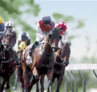 Colac Turf Club - Pubs Perth