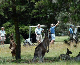 Rangers Valley NSW Pubs Perth