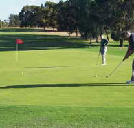 Waikerie Golf Club - Pubs Perth