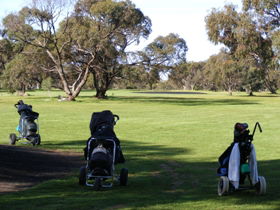Minlaton Golf Club - Pubs Perth 3