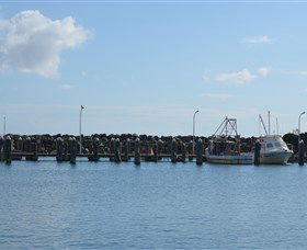 Harrington Bowling Club - Pubs Perth 2