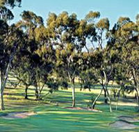 Tanunda Pines Golf Club - Pubs Perth