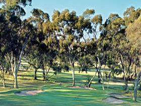 Tanunda Pines Golf Club - Pubs Perth 0