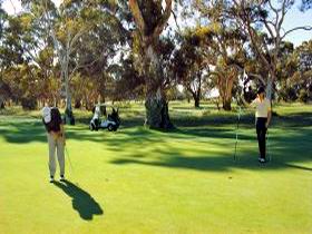 Tanunda Pines Golf Club - Pubs Perth 1