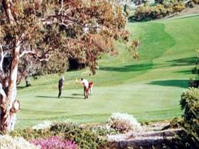 Victor Harbor Golf Club - Pubs Perth 1