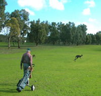 Coffin Bay Golf Club - Pubs Perth