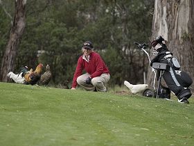 Tasmania Golf Club - The - Pubs Perth 0