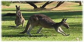 Rockingham Golf Club - Pubs Perth 2