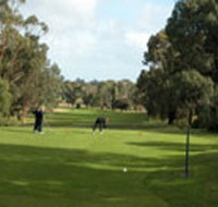 Mount Gambier Golf Club - Pubs Perth