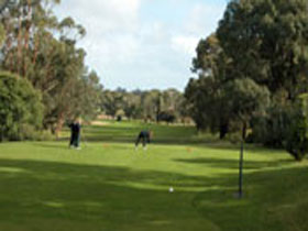Mount Gambier Golf Club - Pubs Perth 0