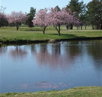 RMC Golf Club - Pubs Perth