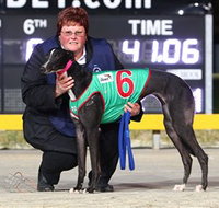 Bulli Greyhound Racing Club - Pubs Perth